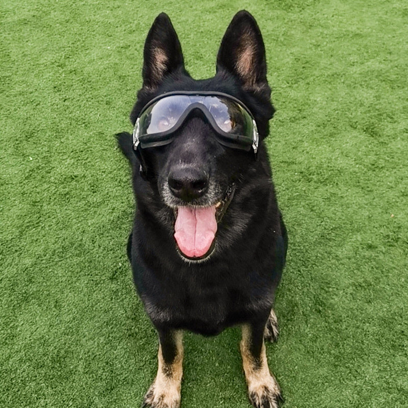 PawsShield™ Large Dog UV Protection Sunglasses – Windproof & Waterproof Pet Goggles